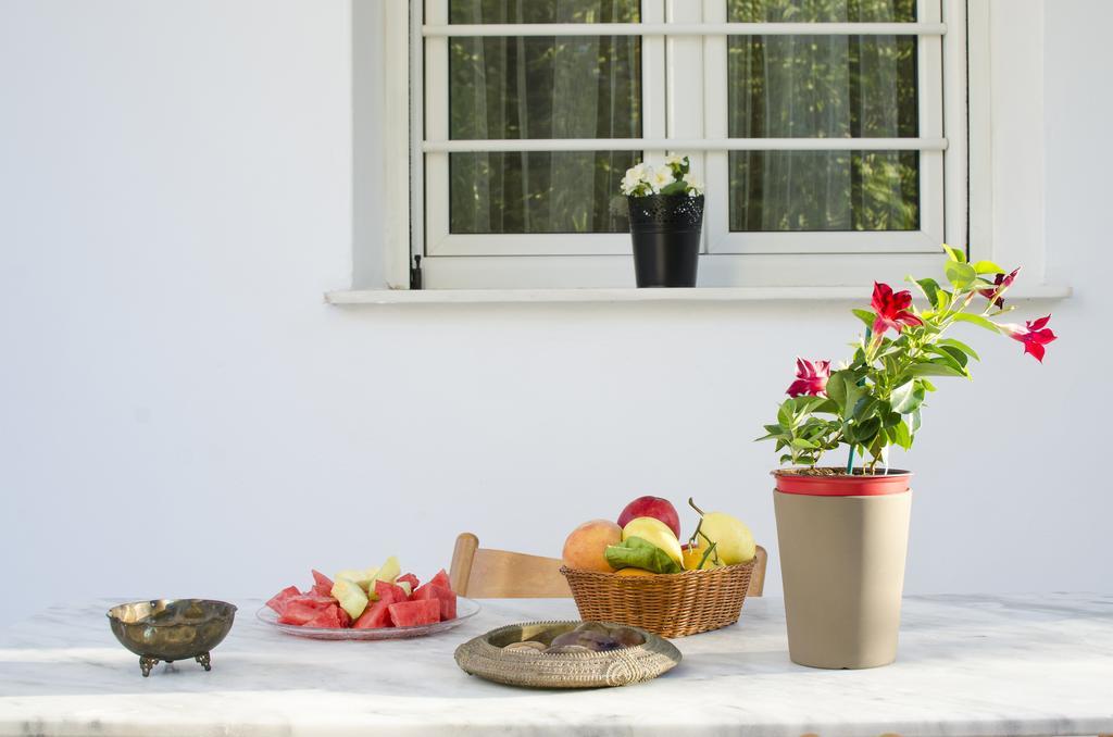 Garden House Palaio Faliro Atény Exteriér fotografie